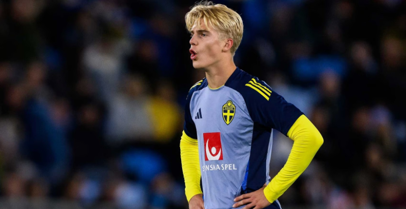 了家的温暖 了家的温暖