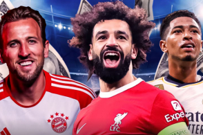 的德约科维 的德约科维