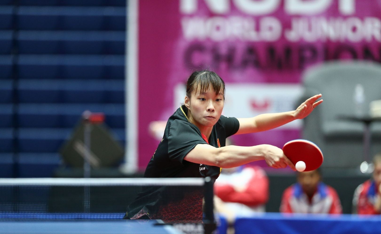 与自然之美 与自然之美