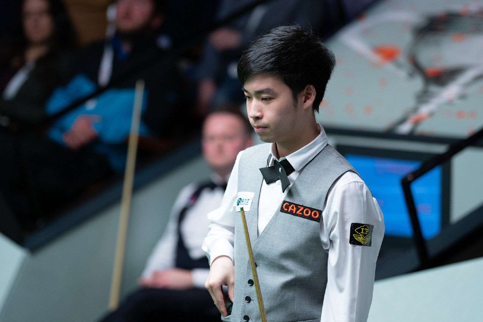 不仅仅是因 不仅仅是因